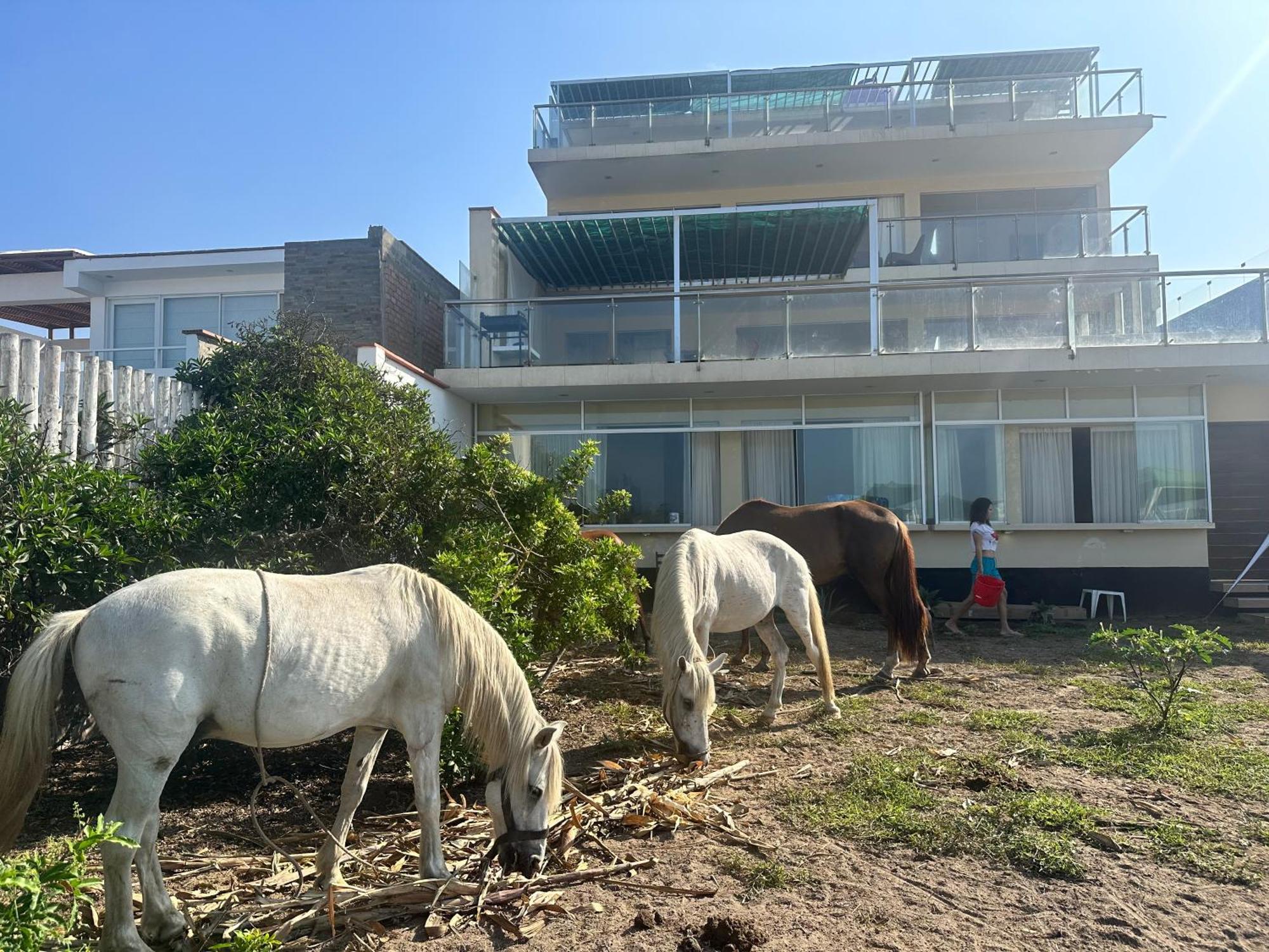 Yolo House Peru Bed and Breakfast Asia Exteriör bild